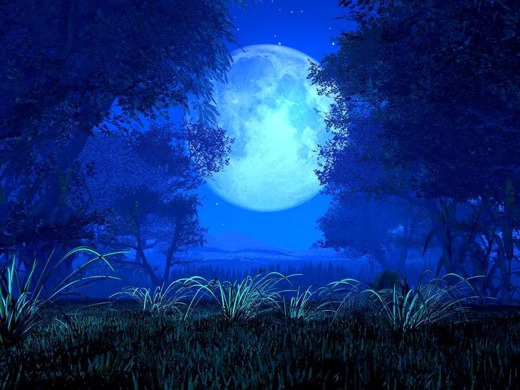 Blue Moon.